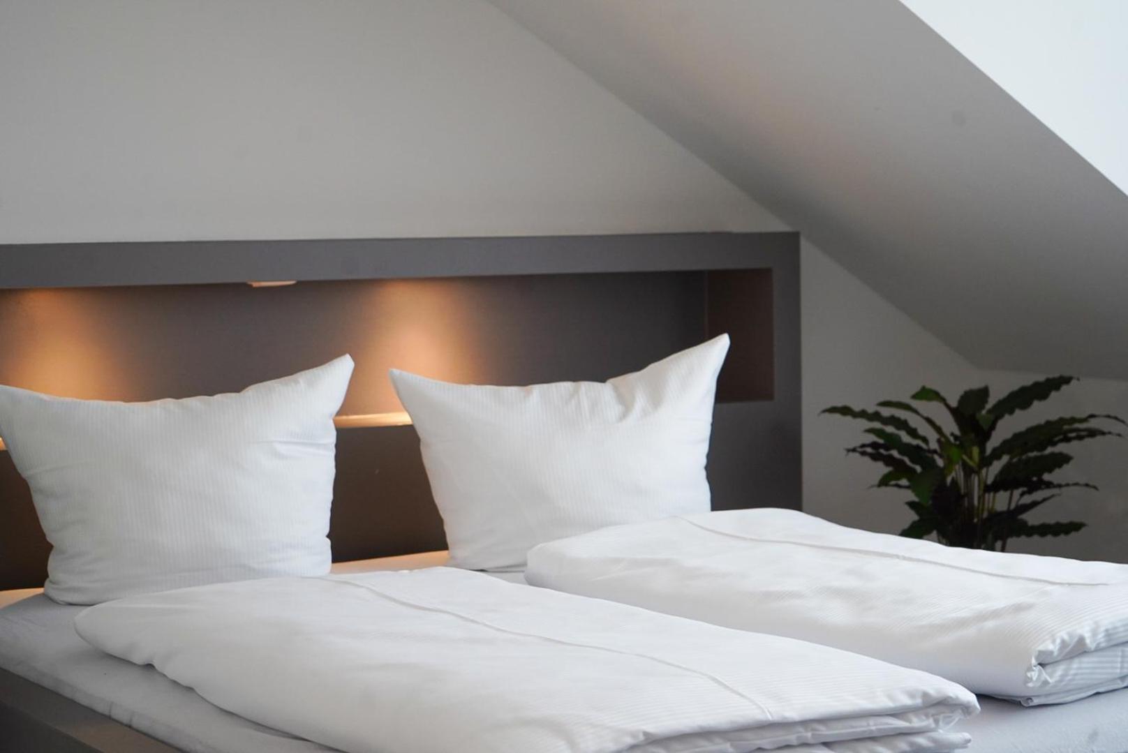 Aparthotel Am Zwinger Dresden Dış mekan fotoğraf